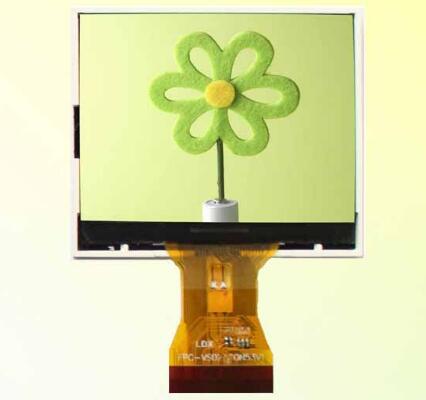 1649919258842316.jpeg 1.jpeg